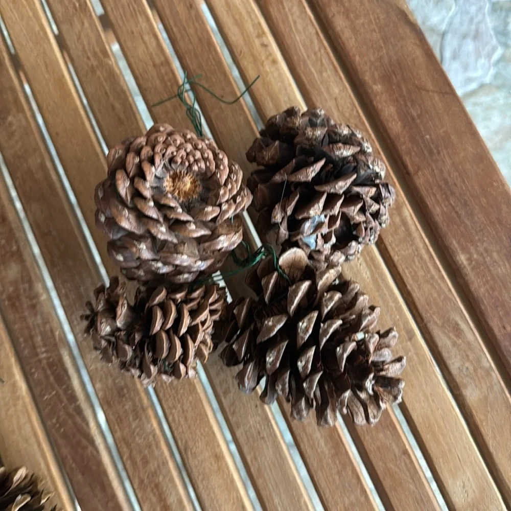 Bundle of Jingle Bell Garland, Holly Burlap Border & Pine Cones